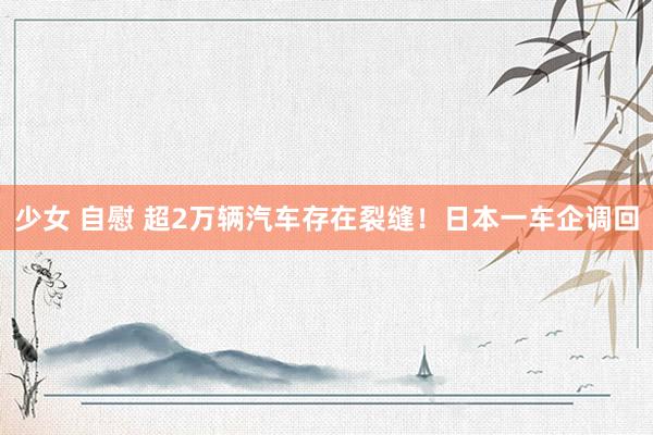 少女 自慰 超2万辆汽车存在裂缝！日本一车企调回