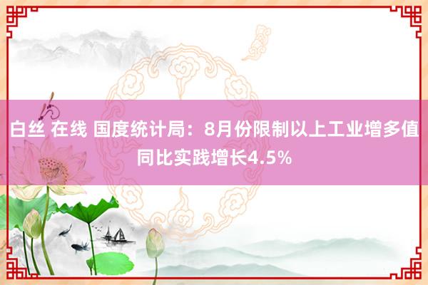 白丝 在线 国度统计局：8月份限制以上工业增多值同比实践增长4.5%