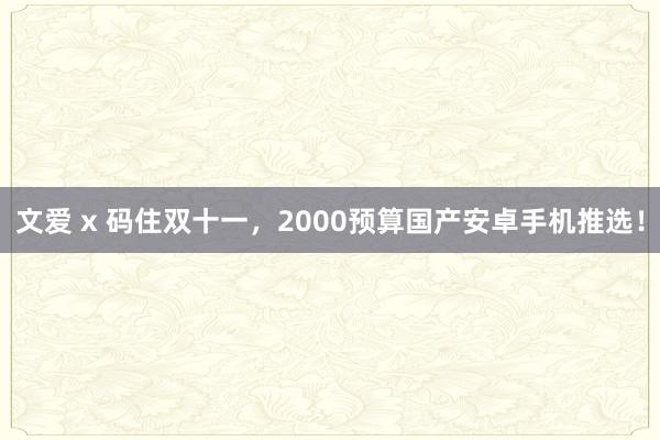 文爱 x 码住双十一，2000预算国产安卓手机推选！