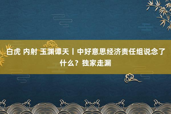 白虎 内射 玉渊谭天丨中好意思经济责任组说念了什么？独家走漏