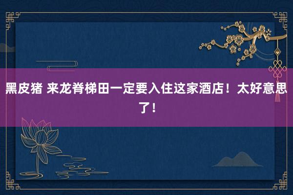 黑皮猪 来龙脊梯田一定要入住这家酒店!太好意思了!