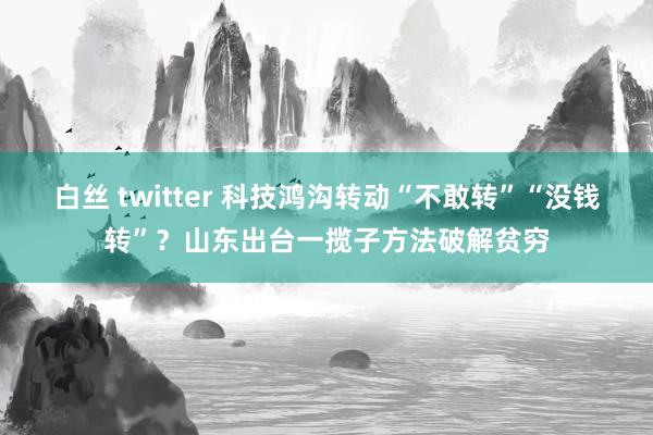 白丝 twitter 科技鸿沟转动“不敢转”“没钱转”？山东出台一揽子方法破解贫穷