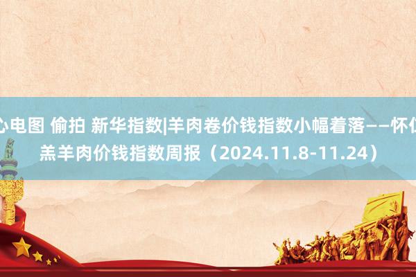 心电图 偷拍 新华指数|羊肉卷价钱指数小幅着落——怀仁羔羊肉价钱指数周报（2024.11.8-11.24）