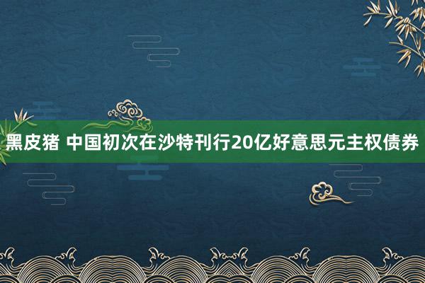 黑皮猪 中国初次在沙特刊行20亿好意思元主权债券