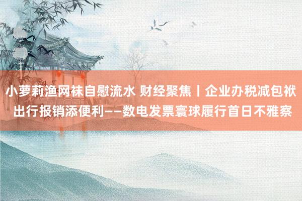 小萝莉渔网袜自慰流水 财经聚焦丨企业办税减包袱 出行报销添便利——数电发票寰球履行首日不雅察