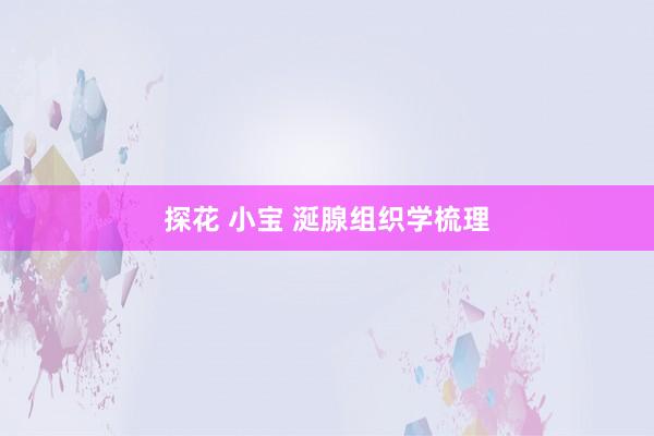 探花 小宝 涎腺组织学梳理