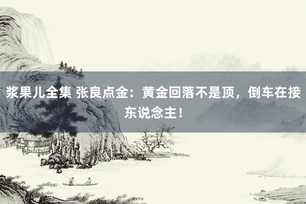 浆果儿全集 张良点金：黄金回落不是顶，倒车在接东说念主！