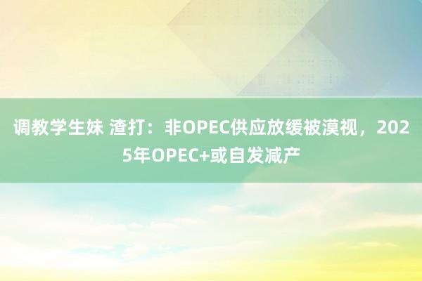 调教学生妹 渣打：非OPEC供应放缓被漠视，2025年OPEC+或自发减产