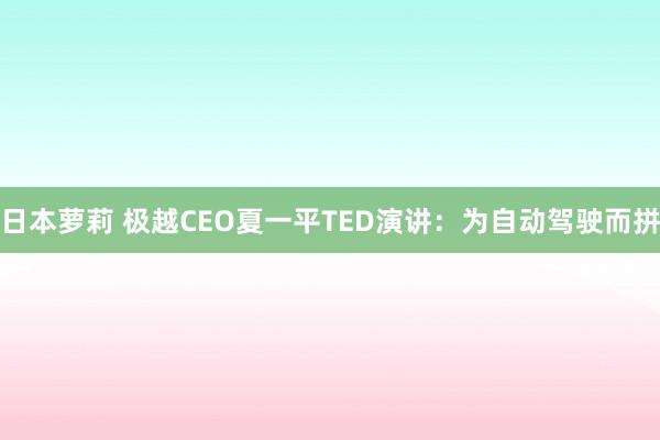 日本萝莉 极越CEO夏一平TED演讲：为自动驾驶而拼