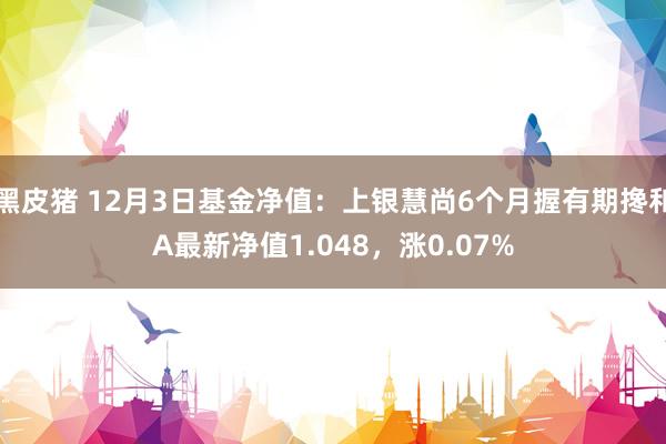 黑皮猪 12月3日基金净值：上银慧尚6个月握有期搀和A最新净值1.048，涨0.07%