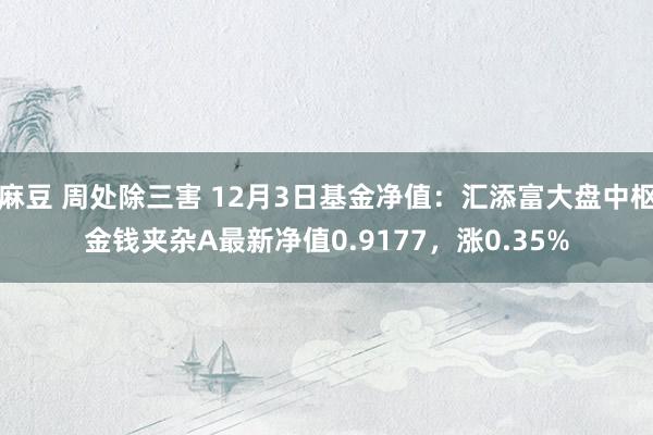 麻豆 周处除三害 12月3日基金净值：汇添富大盘中枢金钱夹杂A最新净值0.9177，涨0.35%