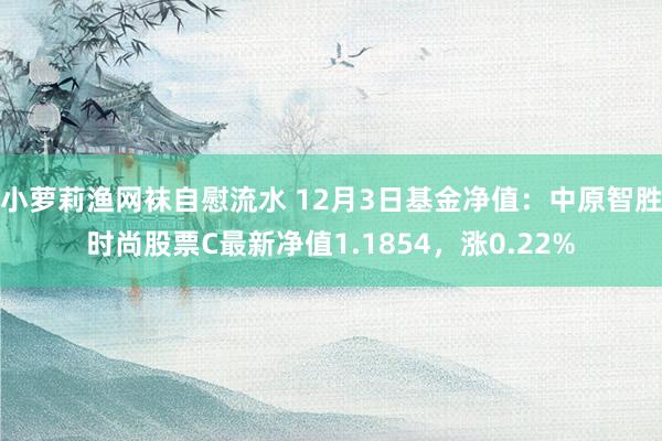 小萝莉渔网袜自慰流水 12月3日基金净值：中原智胜时尚股票C最新净值1.1854，涨0.22%