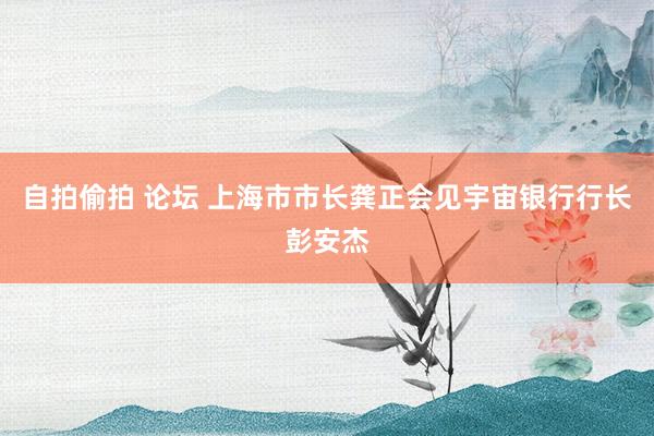 自拍偷拍 论坛 上海市市长龚正会见宇宙银行行长彭安杰