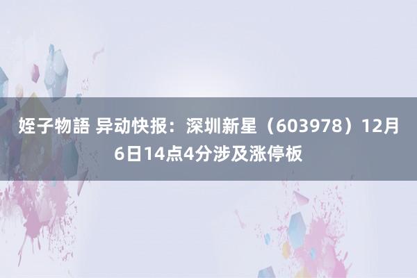 姪子物語 异动快报：深圳新星（603978）12月6日14点4分涉及涨停板