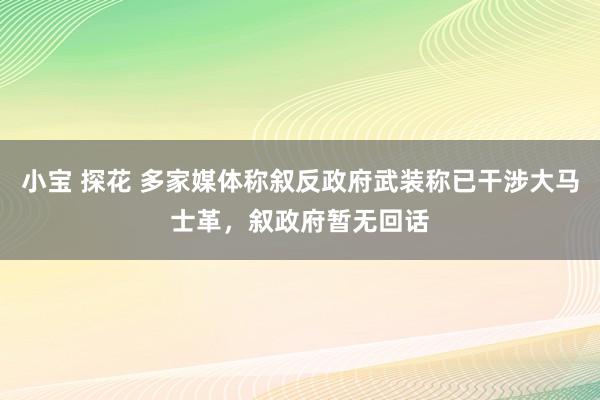 小宝 探花 多家媒体称叙反政府武装称已干涉大马士革，叙政府暂无回话