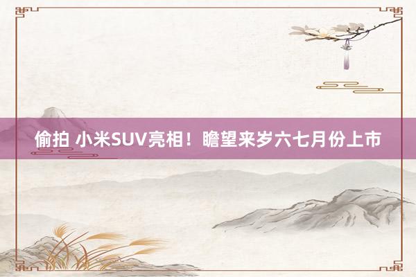 偷拍 小米SUV亮相！瞻望来岁六七月份上市