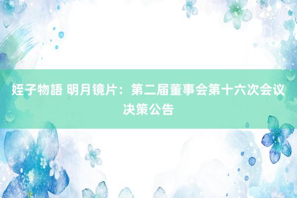 姪子物語 明月镜片：第二届董事会第十六次会议决策公告