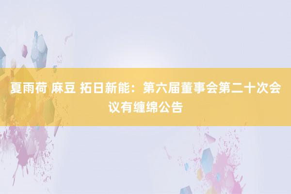 夏雨荷 麻豆 拓日新能：第六届董事会第二十次会议有缠绵公告