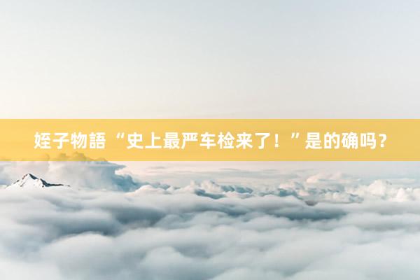 姪子物語 “史上最严车检来了！”是的确吗？