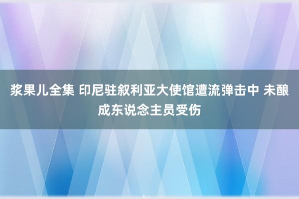 浆果儿全集 印尼驻叙利亚大使馆遭流弹击中 未酿成东说念主员受伤