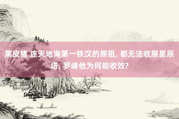 黑皮猪 连天地海第一铁汉的原祖， 都无法收服星辰塔， 罗峰他为何能收效?