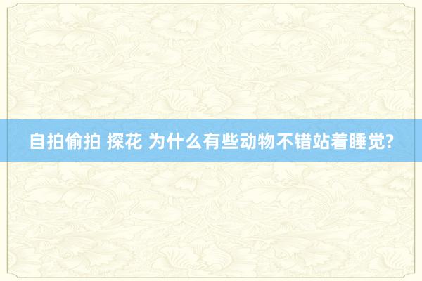 自拍偷拍 探花 为什么有些动物不错站着睡觉?