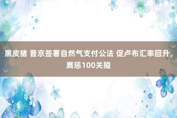 黑皮猪 普京签署自然气支付公法 促卢布汇率回升，膺惩100关隘