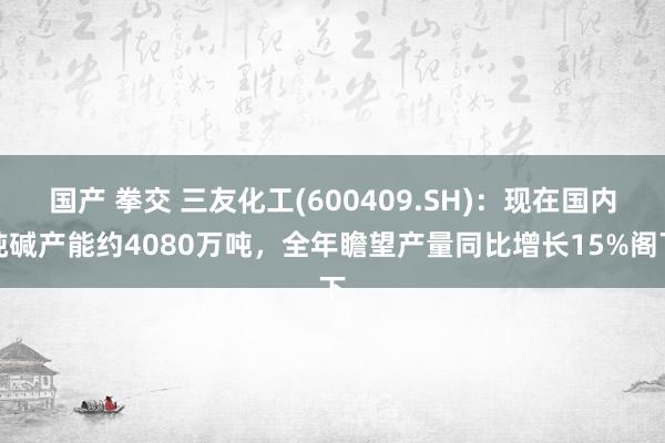 国产 拳交 三友化工(600409.SH)：现在国内纯碱产能约4080万吨，全年瞻望产量同比增长15%阁下