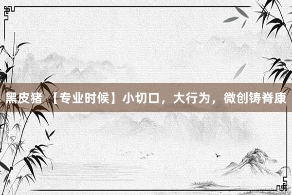 黑皮猪 【专业时候】小切口，大行为，微创铸脊康