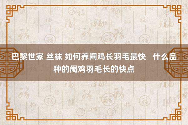 巴黎世家 丝袜 如何养阉鸡长羽毛最快   什么品种的阉鸡羽毛长的快点