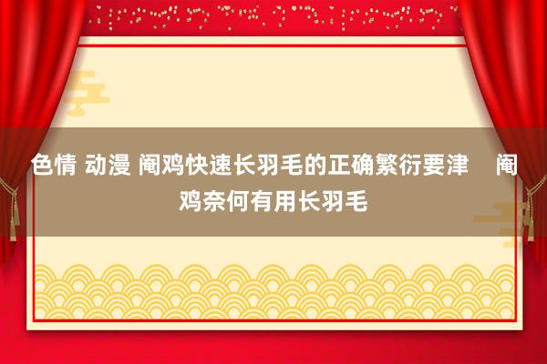 色情 动漫 阉鸡快速长羽毛的正确繁衍要津    阉鸡奈何有用长羽毛