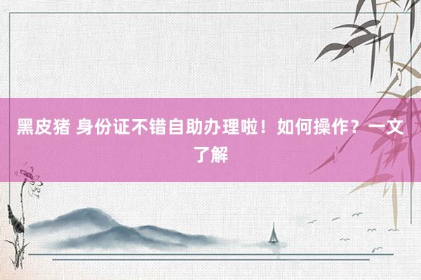 黑皮猪 身份证不错自助办理啦！如何操作？一文了解