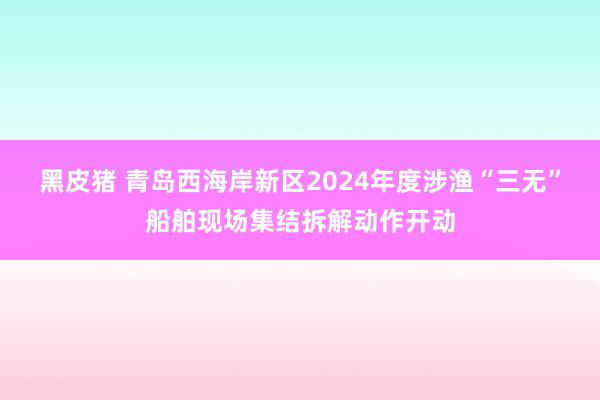 黑皮猪 青岛西海岸新区2024年度涉渔“三无”船舶现场集结拆解动作开动
