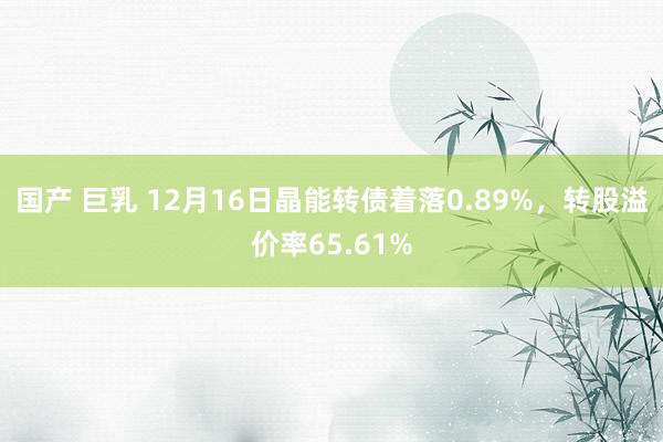 国产 巨乳 12月16日晶能转债着落0.89%，转股溢价率65.61%