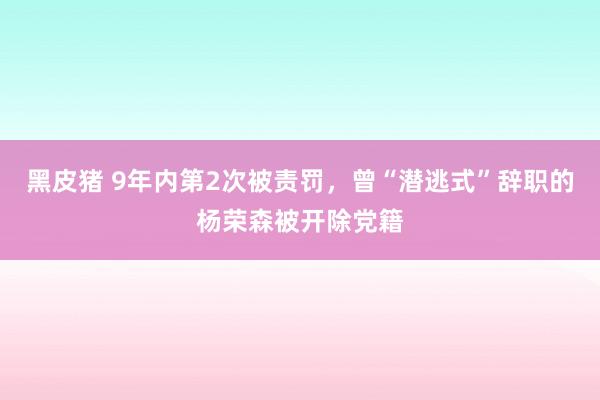 黑皮猪 9年内第2次被责罚，曾“潜逃式”辞职的杨荣森被开除党籍