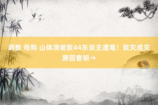 调教 母狗 山体滑坡致44东谈主遭难！致灾成灾原因查明→
