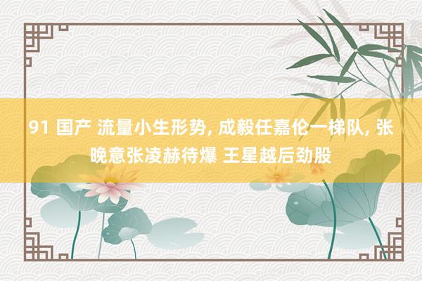 91 国产 流量小生形势， 成毅任嘉伦一梯队， 张晚意张凌赫待爆 王星越后劲股