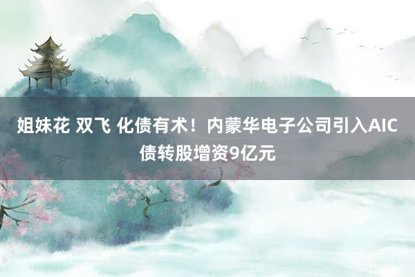 姐妹花 双飞 化债有术！内蒙华电子公司引入AIC债转股增资9亿元