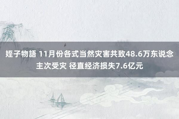 姪子物語 11月份各式当然灾害共致48.6万东说念主次受灾 径直经济损失7.6亿元