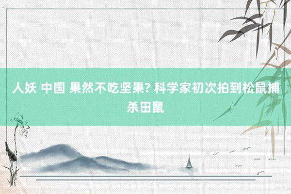 人妖 中国 果然不吃坚果? 科学家初次拍到松鼠捕杀田鼠