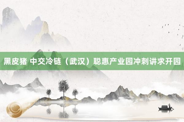 黑皮猪 中交冷链（武汉）聪惠产业园冲刺讲求开园