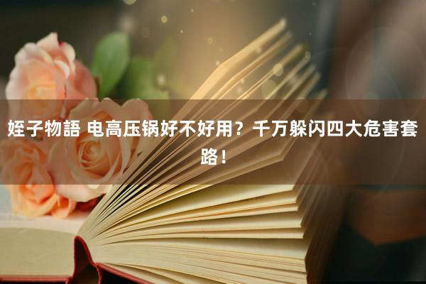 姪子物語 电高压锅好不好用？千万躲闪四大危害套路！