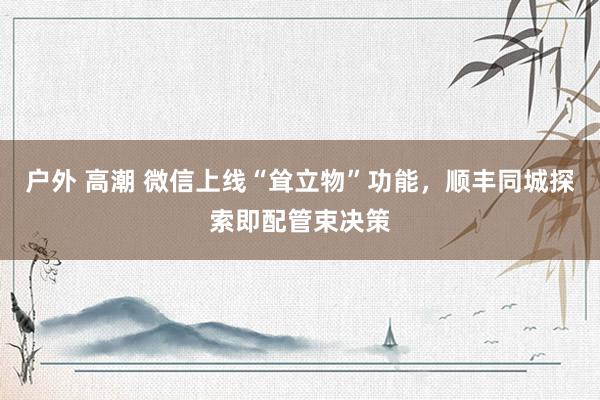 户外 高潮 微信上线“耸立物”功能，顺丰同城探索即配管束决策