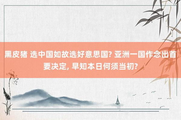 黑皮猪 选中国如故选好意思国? 亚洲一国作念出首要决定， 早知本日何须当初?