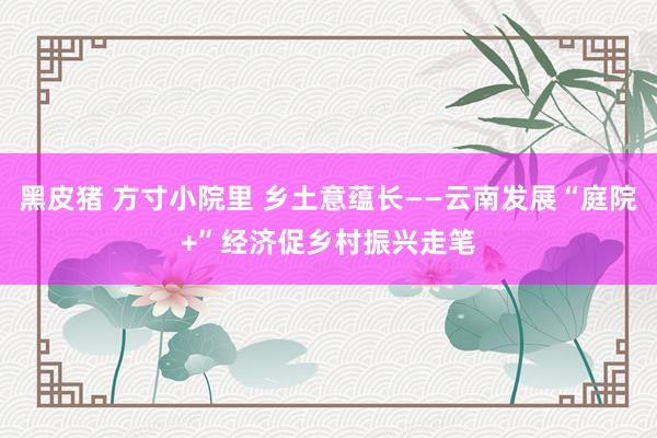 黑皮猪 方寸小院里 乡土意蕴长——云南发展“庭院+”经济促乡村振兴走笔