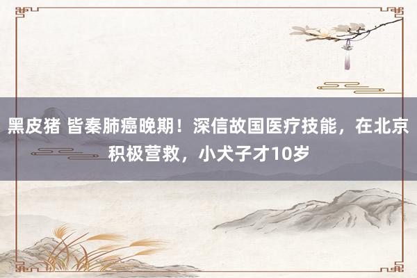 黑皮猪 皆秦肺癌晚期！深信故国医疗技能，在北京积极营救，小犬子才10岁