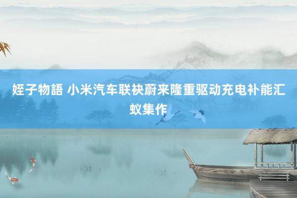 姪子物語 小米汽车联袂蔚来隆重驱动充电补能汇蚁集作