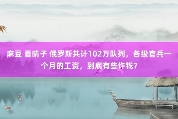 麻豆 夏晴子 俄罗斯共计102万队列，各级官兵一个月的工资，到底有些许钱？
