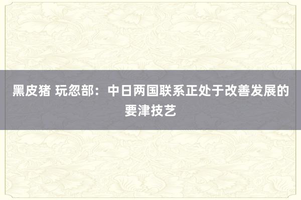 黑皮猪 玩忽部：中日两国联系正处于改善发展的要津技艺