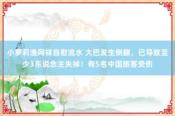小萝莉渔网袜自慰流水 大巴发生侧翻，已导致至少3东说念主失掉！有5名中国旅客受伤